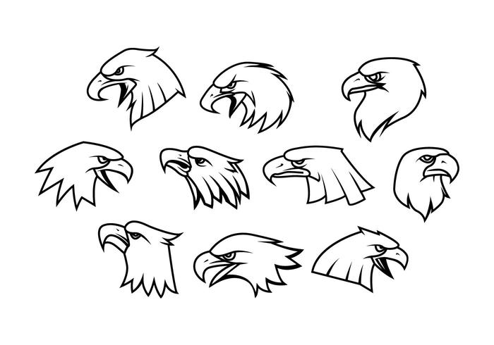 Eagle Free Vector Art 700x490 Eagle Free Vector Art