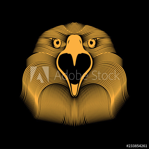 Eagle Line Art Vector Illustration For T Shirt Design, Poster 500x500 Eagle Line Art Vector Illustration For T Shirt Design, Poster