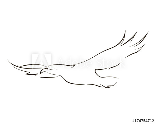 Flying Black Line Eagle On White Background Hand Drawing Vector 500x400 Flying Black Line Eagle On White Background Hand Drawing Vector