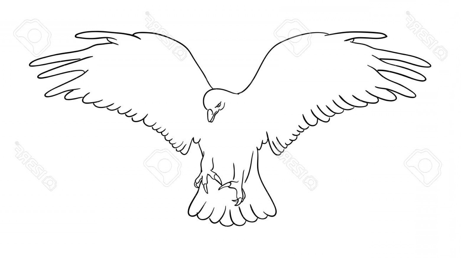 Photostock Vector Eagle Line Art Good Use For Symbol Icon Web Icon 1560x874 Photostock Vector Eagle Line Art Good Use For Symbol Icon Web Icon