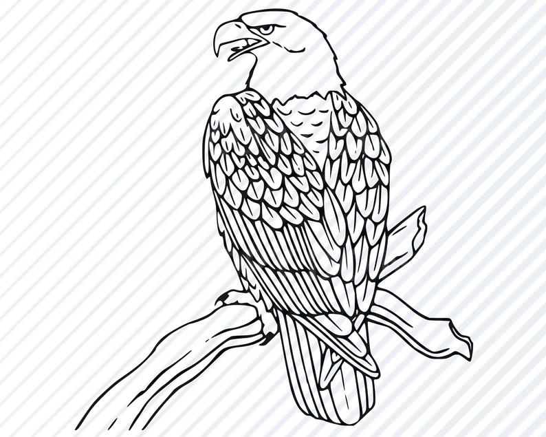 American Eagle Clipart Clip Art Silhouette Vector Etsy 794x635 American Eagle Clipart Clip Art Silhouette Vector Etsy