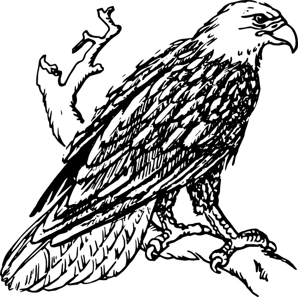 Bald Eagle Clip Art Free Vector In Open Office Drawing 600x598 Bald Eagle Clip Art Free Vector In Open Office Drawing