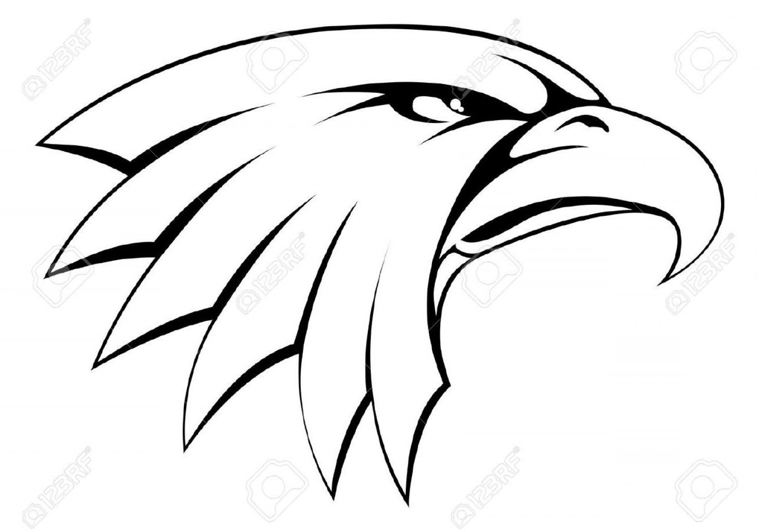 Best Bald Eagle Head Drawing Vector Image Newwaysys 1560x1094 Best Bald Eagle Head Drawing Vector Image Newwaysys