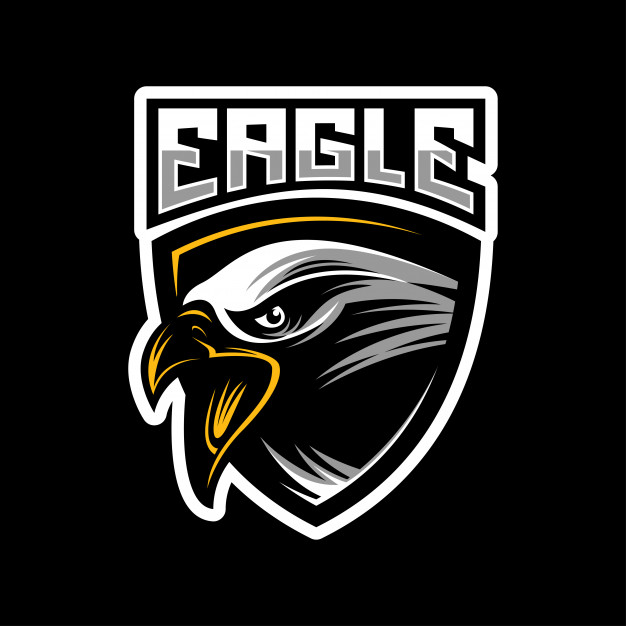 626x626 Head Of An Eagle Mascot Vector Premium Download