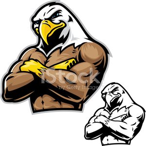 300x300 Power Eagle Mascot Stock Vectors