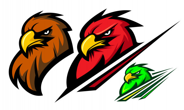 626x375 Three Coloring Eagle Mascot Logo Illustration Vector Premium