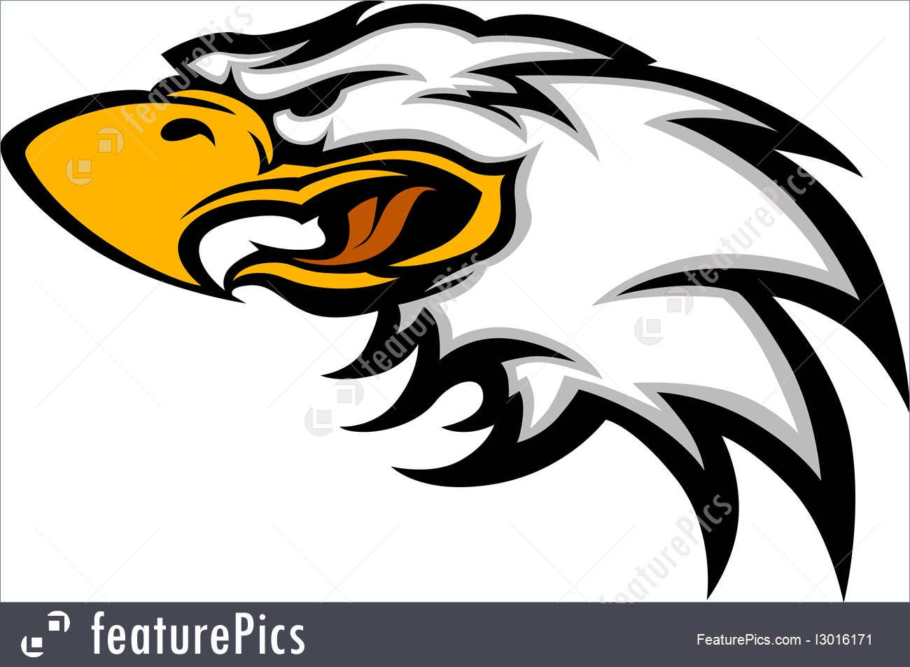 1300x953 Eagle Mascot Head Vector Graphic
