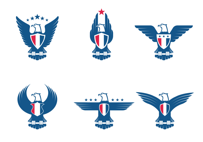 700x490 Eagle Scout Free Vector Art