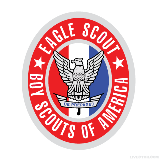 320x320 Eagle Scout Logo Vector