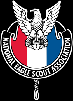250x344 Eagle Scout Logos