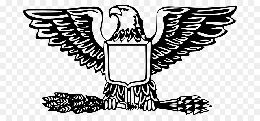 900x420 Eagle Logo