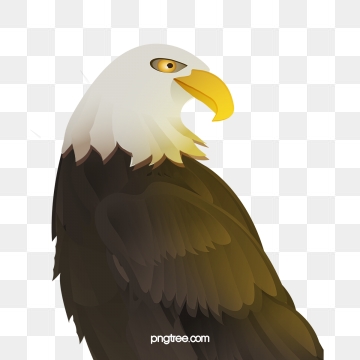 360x360 Eagle Scout Png, Vector, And Clipart With Transparent