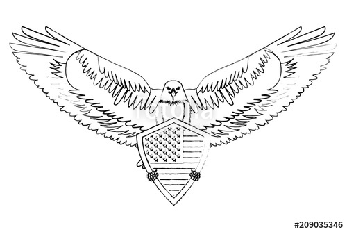 American Bald Eagle Shield Vector Illustration Design Stock Image 500x334 American Bald Eagle Shield Vector Illustration Design Stock Image