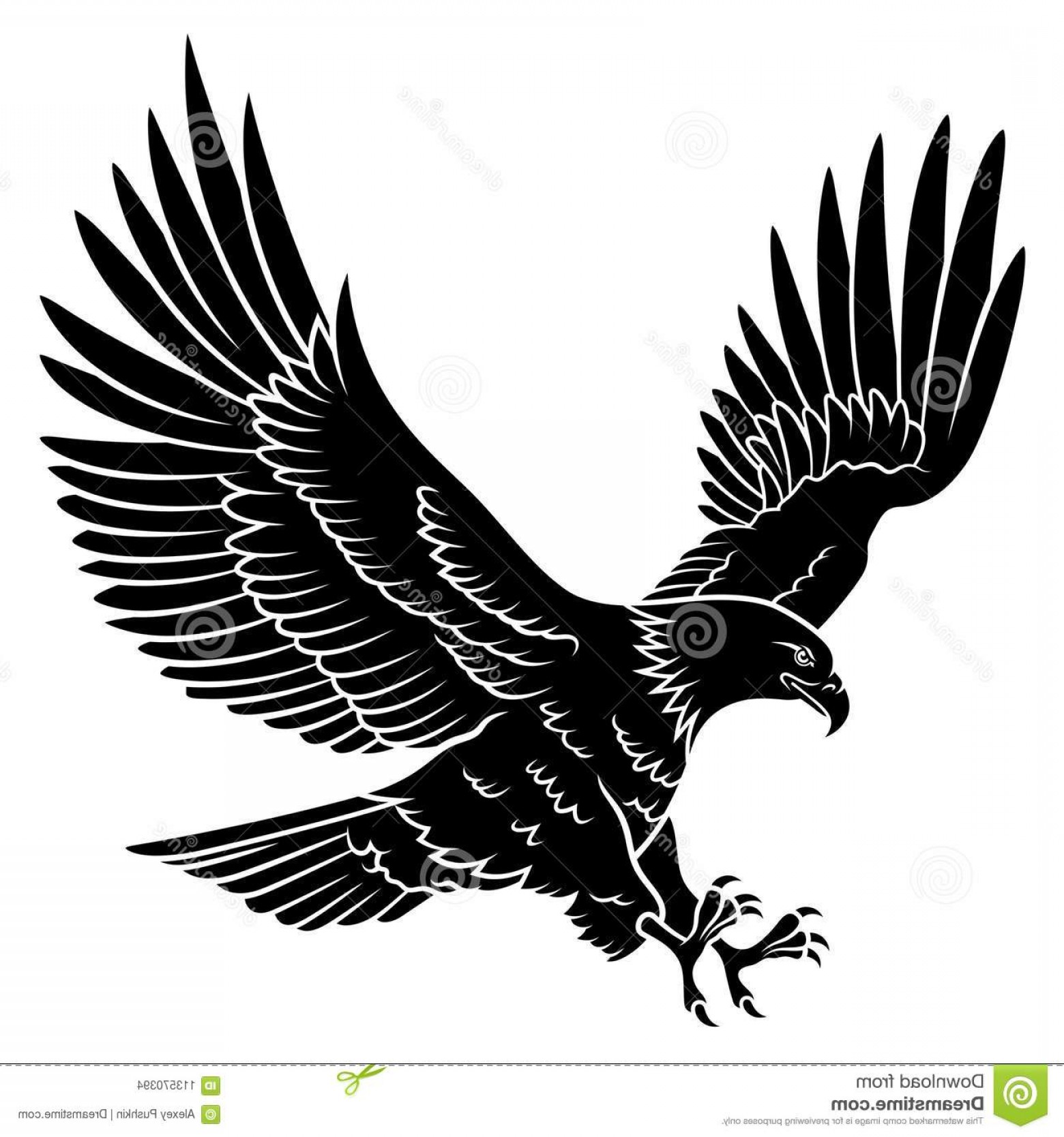 1560x1668 Eagle Silhouette Bald Isolated White Image Soidergi