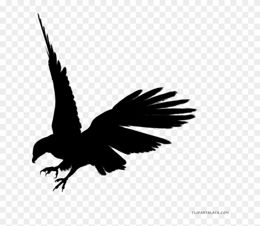 880x765 Eagle Silhouette Clipart