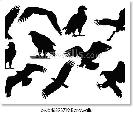 435x370 Eagle Silhouette Vector Illustration, Art Print Barewalls