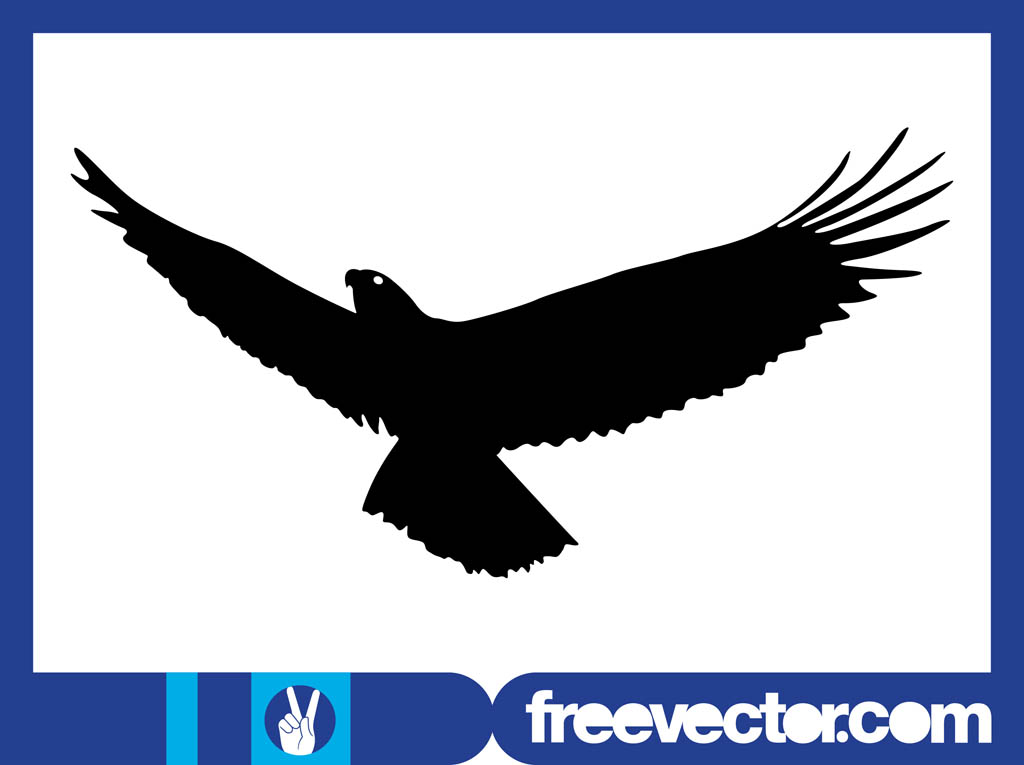 1024x765 Flying Eagle Silhouette Graphics Vector Art Graphics