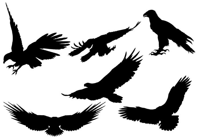 700x490 Free Eagle Silhouette Vector