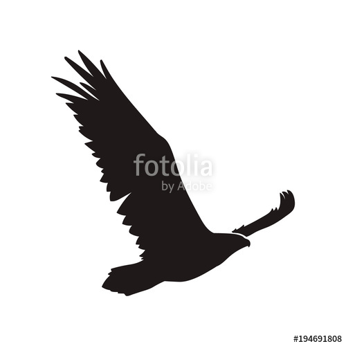 500x500 Eagle Silhouette Vector Stock Image And Royalty Free Vector