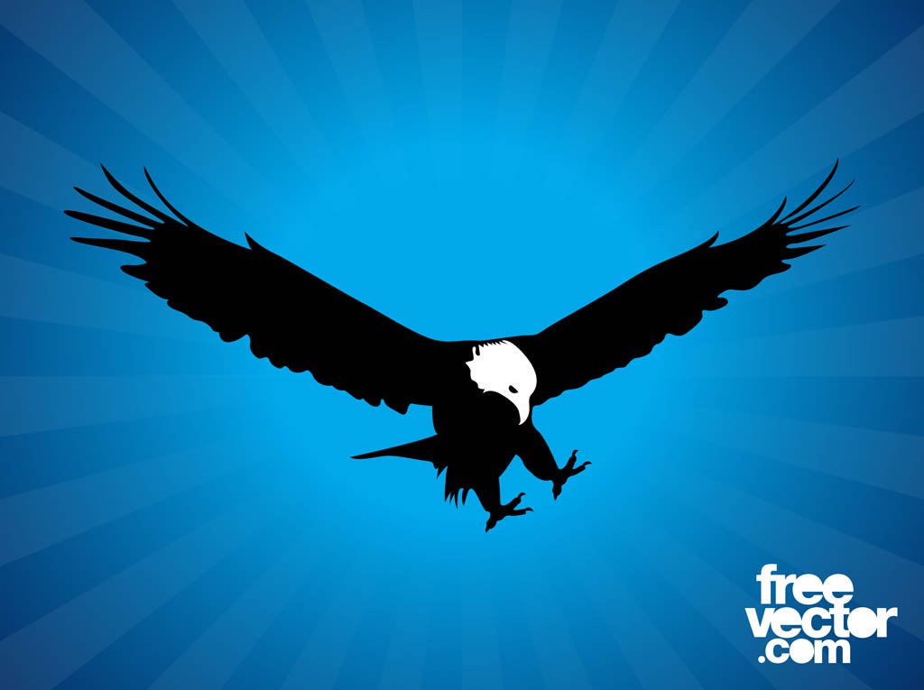 1024x765 Bald Eagle Silhouette Vector Art Graphics