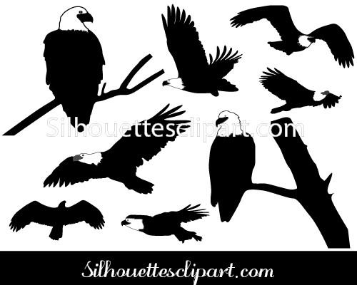 500x400 Bald Eagle Silhouette Vector Download Here Silhouettes Vector