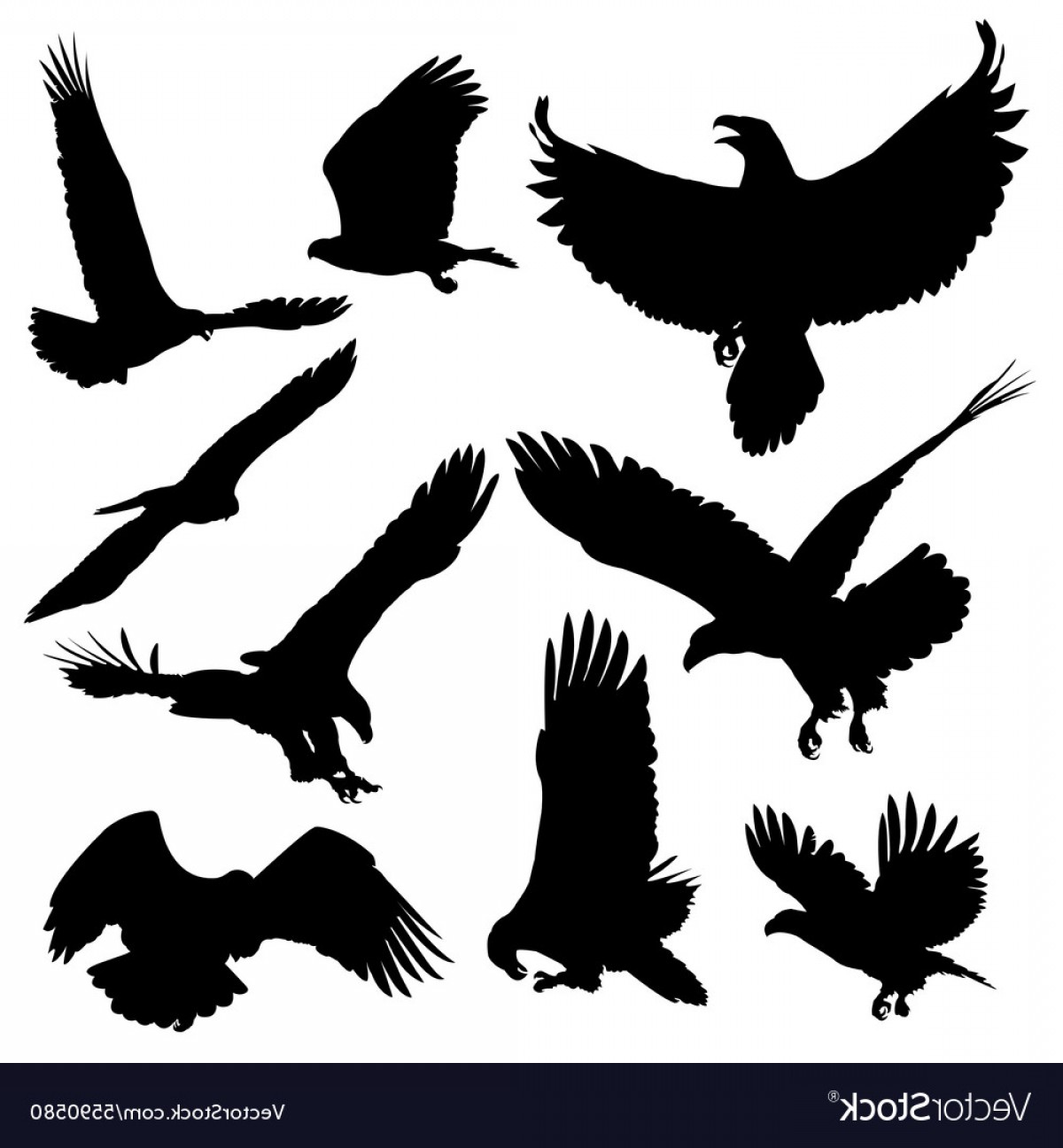 1200x1296 Bald Eagles Silhouettes Isolated On White Vector Soidergi