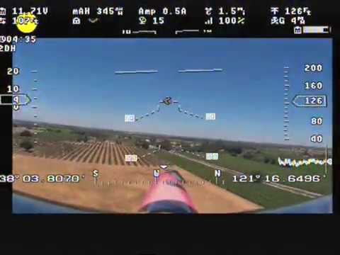 480x360 Eagletree Vector