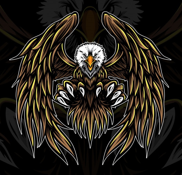 626x604 Eagle Vector Vectors, Photos And Free Download
