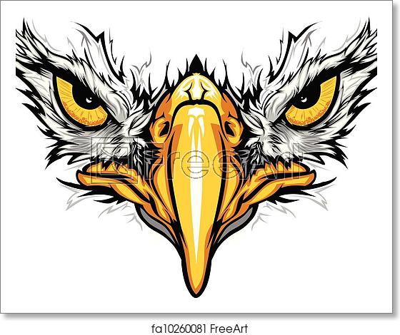 560x470 Free Art Print Of Eagle Eyes And Beak Vector Illustration Graphic