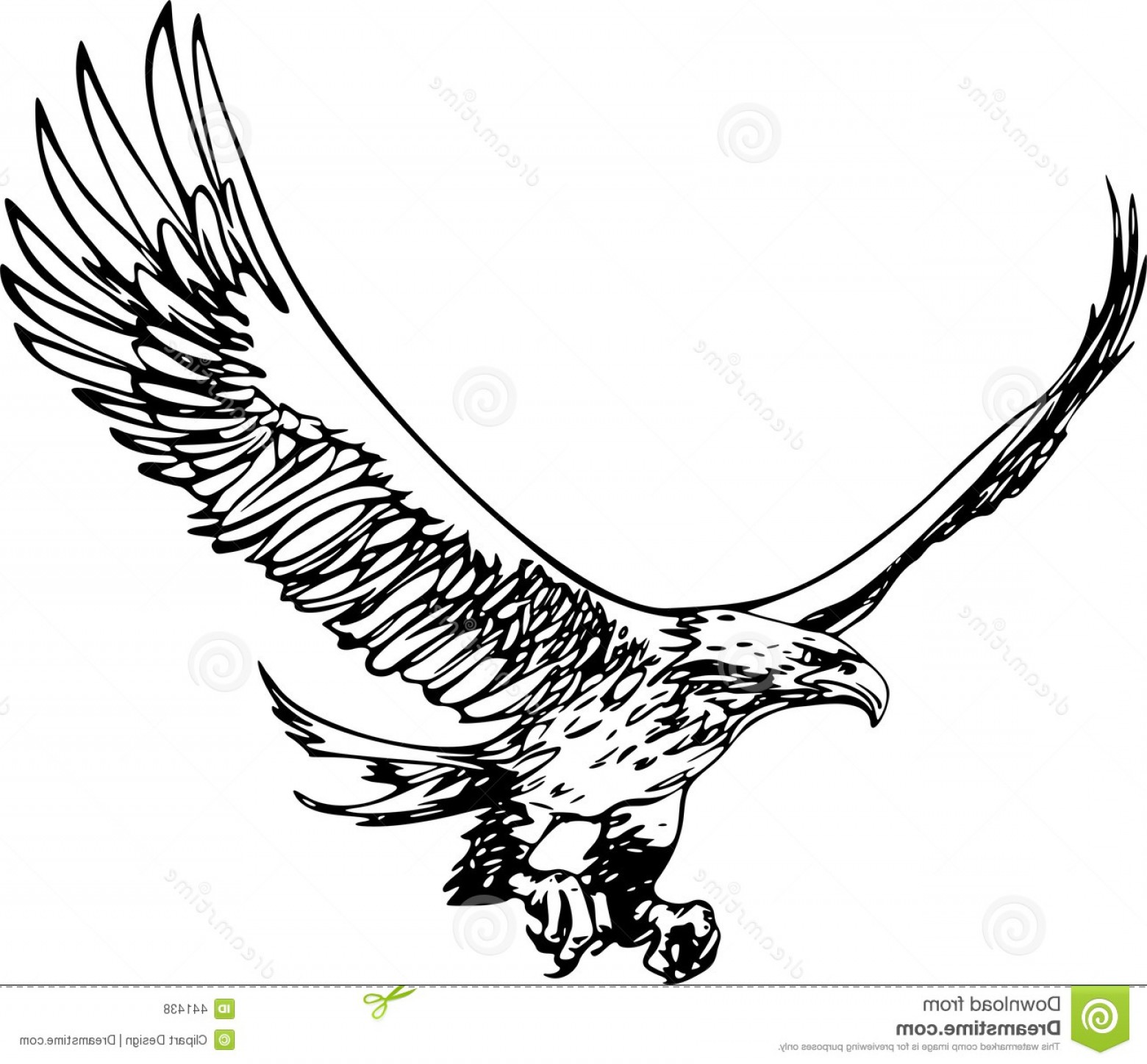 Eagle Vector at Vectorified.com | Collection of Eagle Vector free for ...