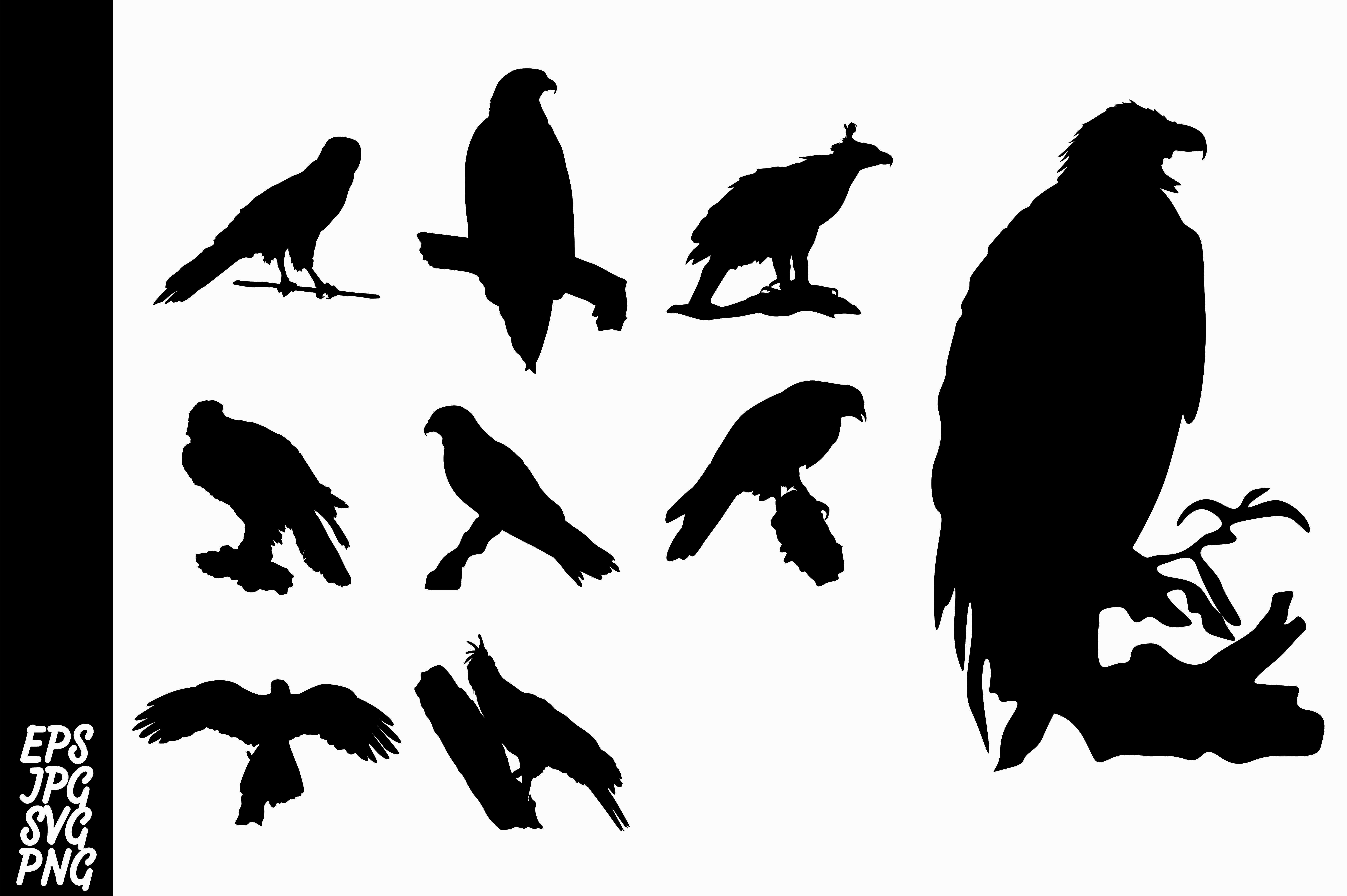 7514x5000 Silhouette Eagle Vector Bundle Graphic