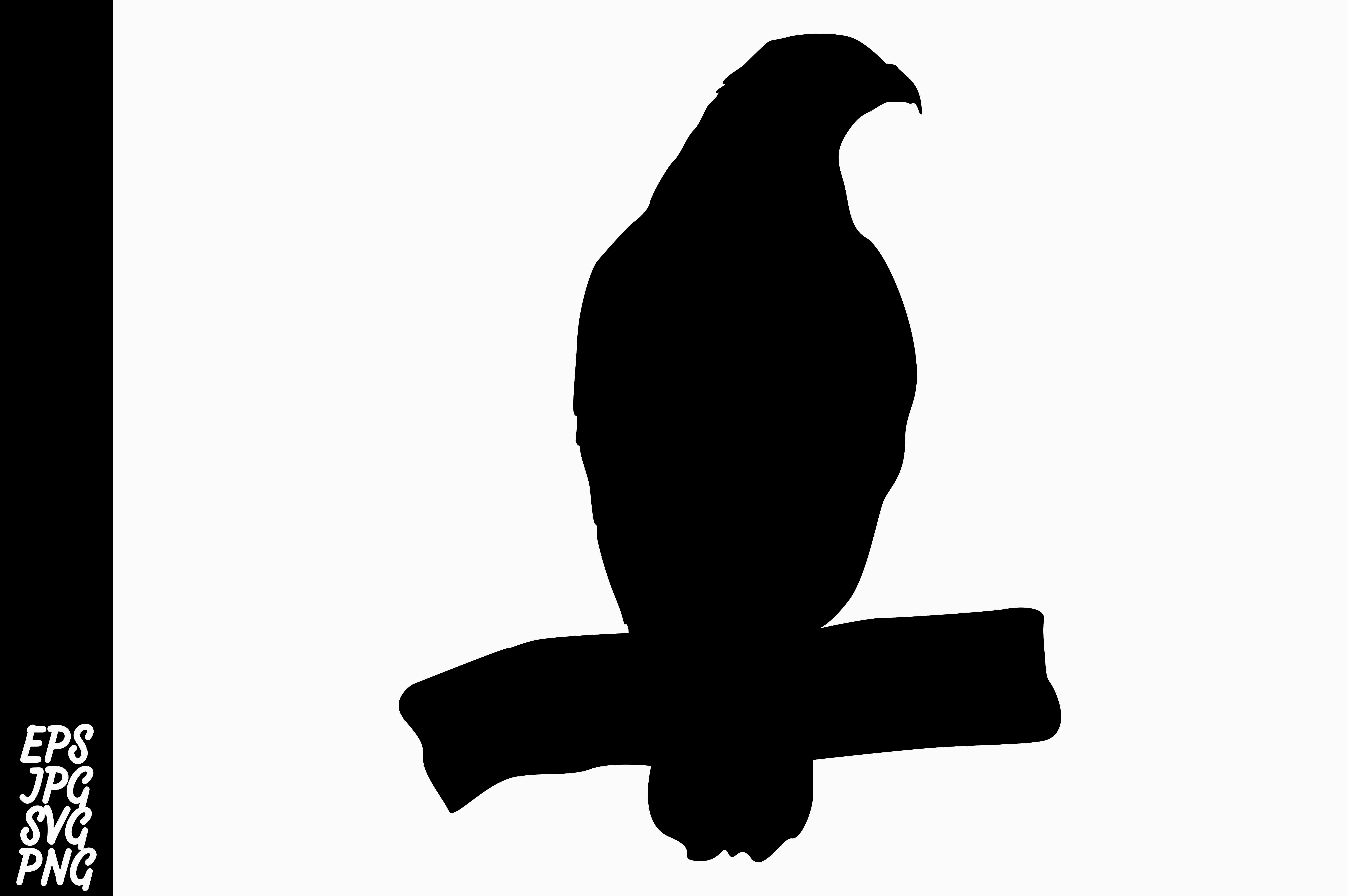 7514x5000 Silhouette Eagle Vector Graphic