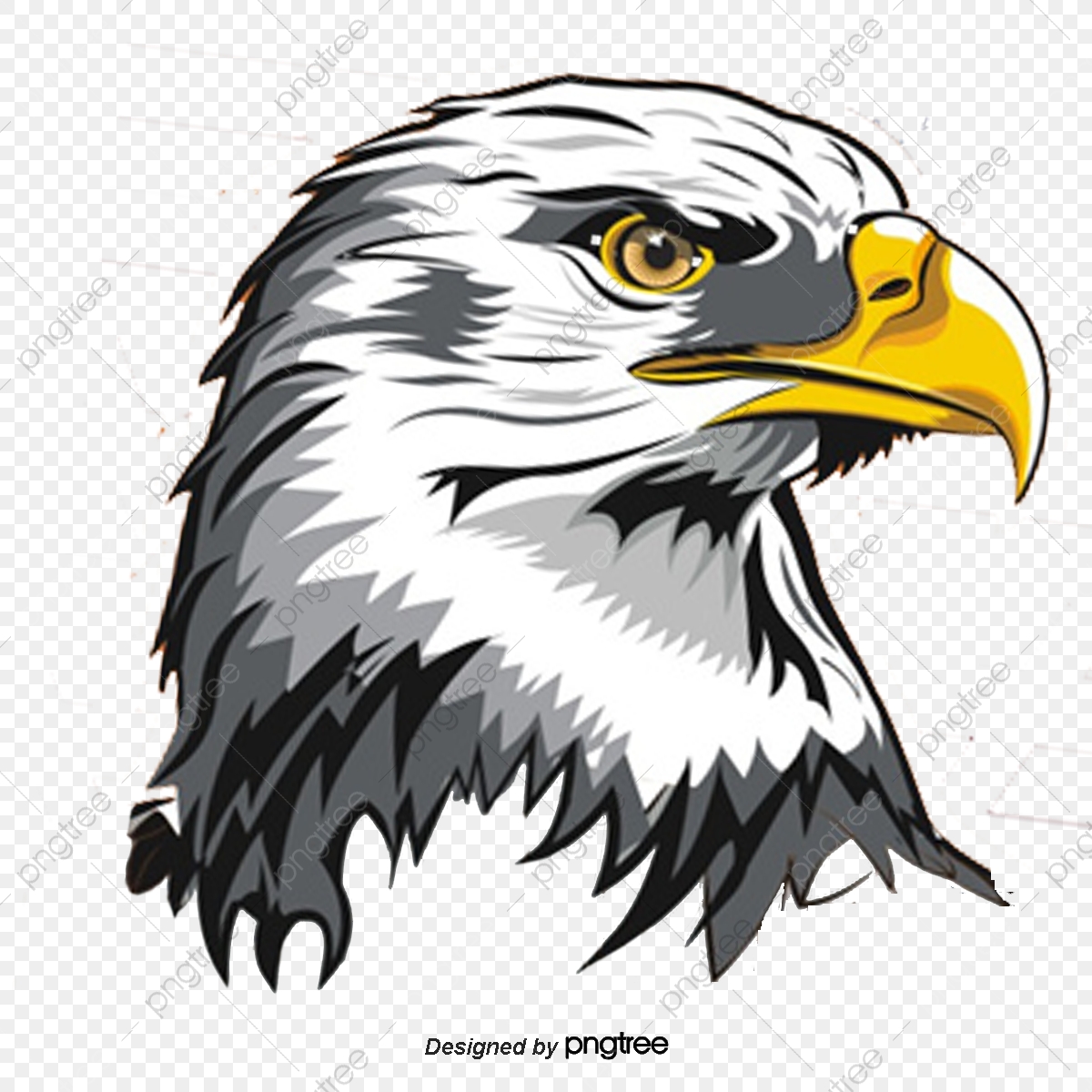 1200x1200 Eagle, Eagle Vector, Animal, Renderings Png And Vector