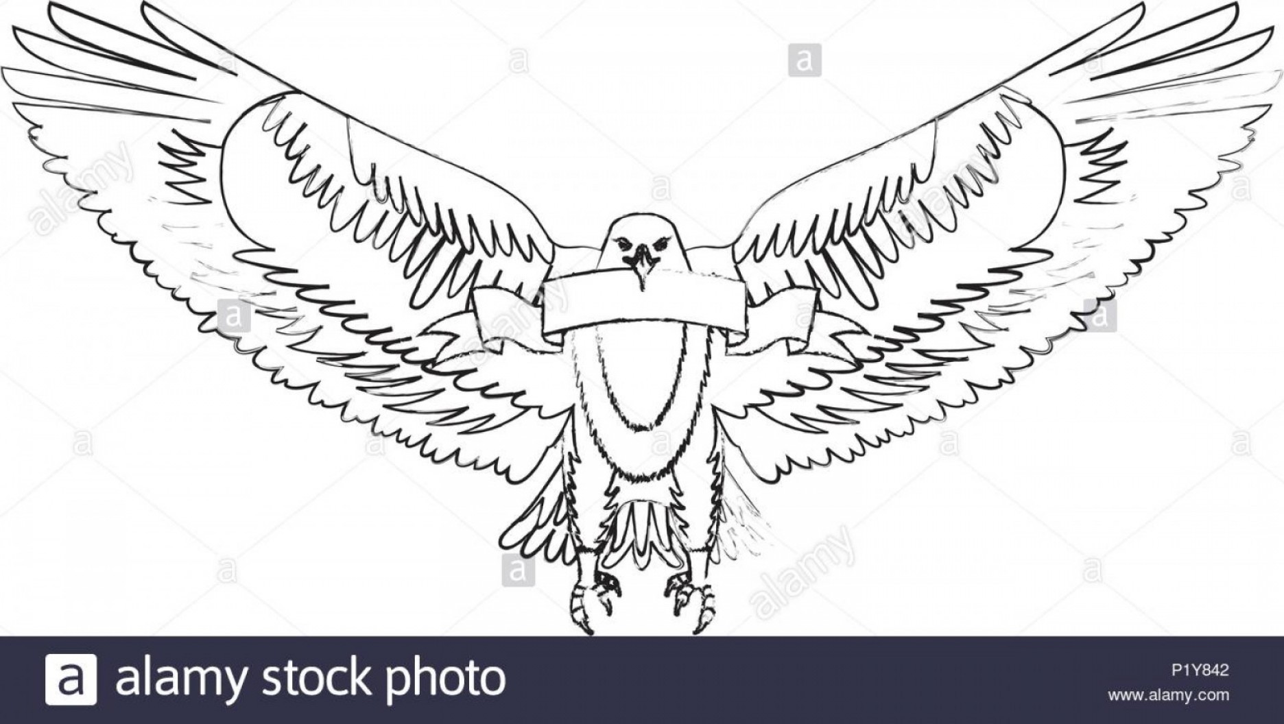Eagle Vector Art