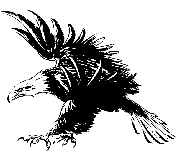 Eagle Vector Graphic 600x550 Eagle Vector Graphic