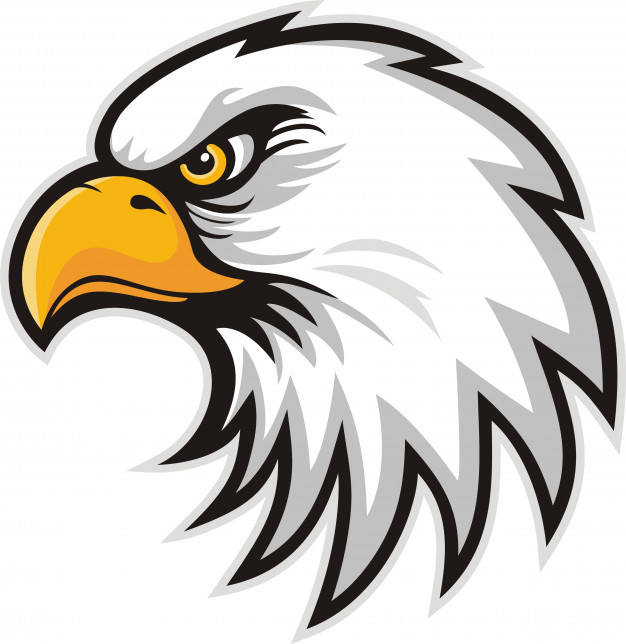 Eagle Vectors, Photos And Free Download 626x644 Eagle Vectors, Photos And Free Download