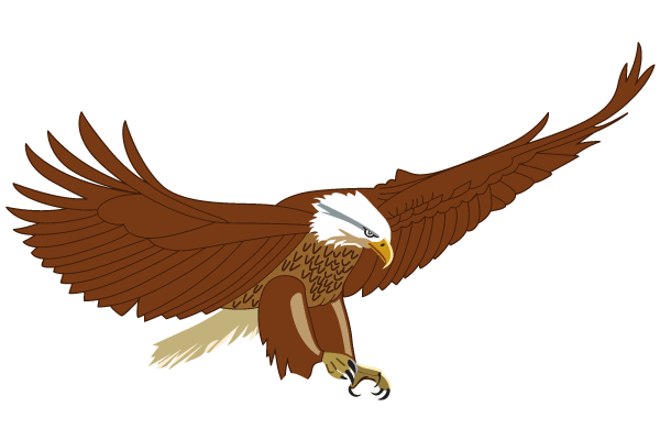 Flying American Eagle Vector Art Download Free Vector Art Free 600x400 Flying American Eagle Vector Art Download Free Vector Art Free