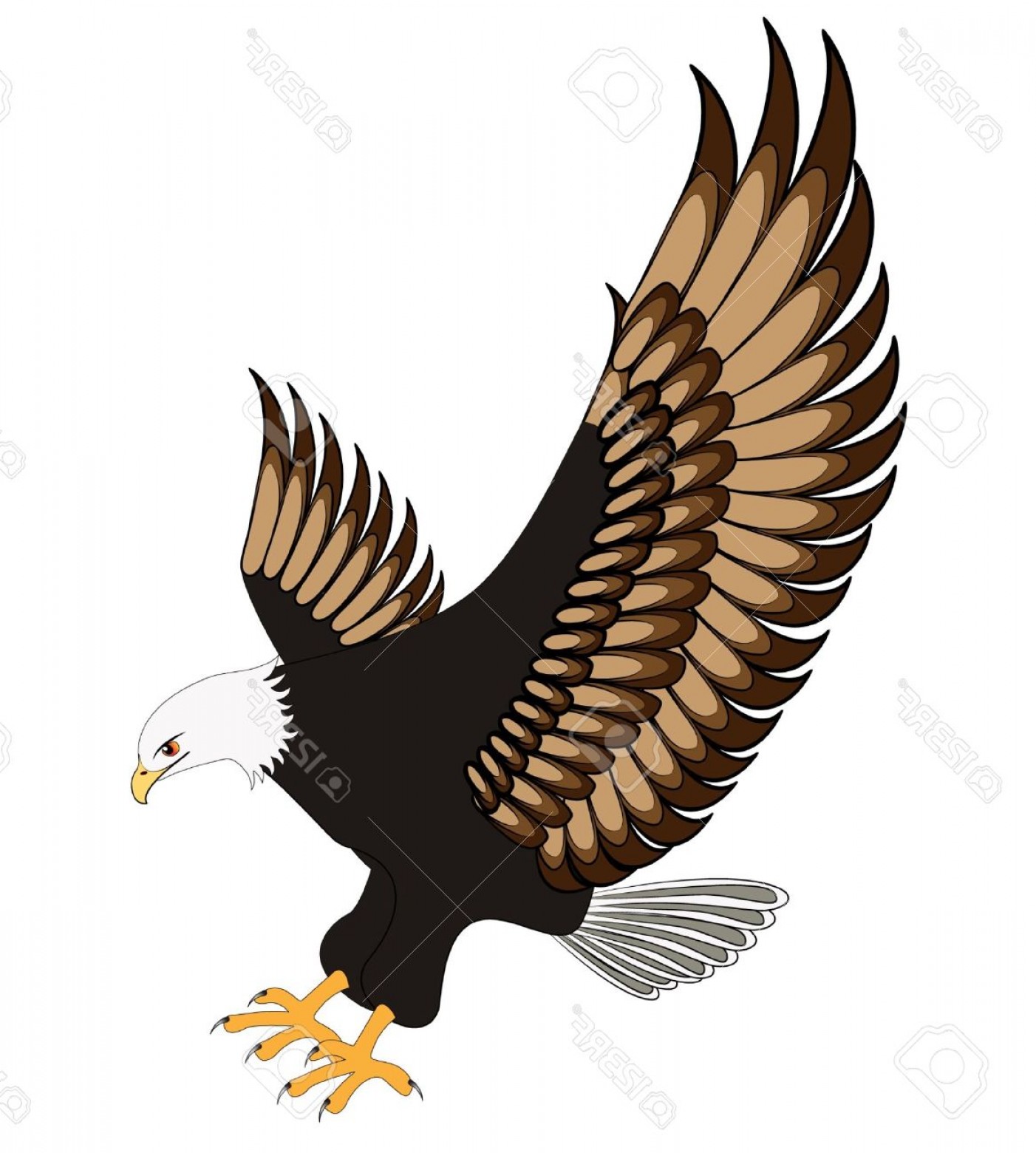Soaring Eagle Vector Art Savoyuptown 1402x1560 Soaring Eagle Vector Art Savoyuptown