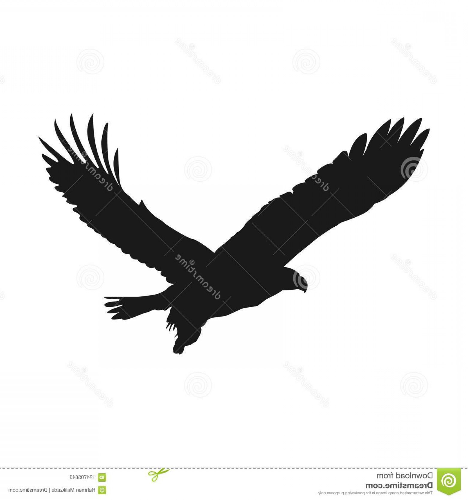 Soaring Eagle Vector Art Hoodamathrun 1560x1668 Soaring Eagle Vector Art Hoodamathrun