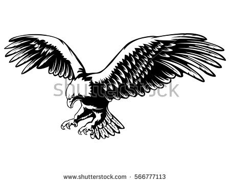 450x358 Eagle Stock Royalty Free Vectors Eagle Vector Clipart Woy