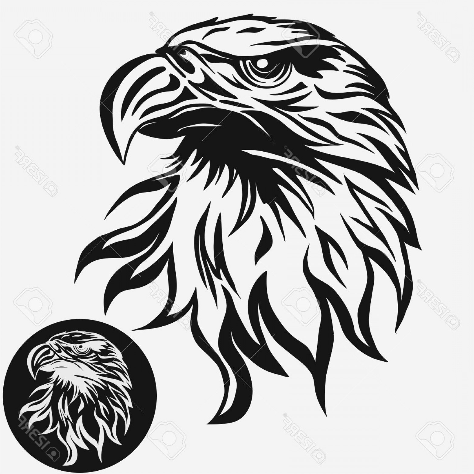 1560x1560 Eagle Vector Clip Art Geekchicpro