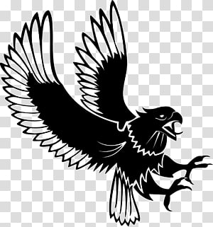 300x321 Eagles Vector Png Clipart Images Free Download Pngguru