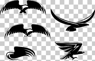 310x199 Free Eagle Vector Png Cliparts For Free Download Uihere