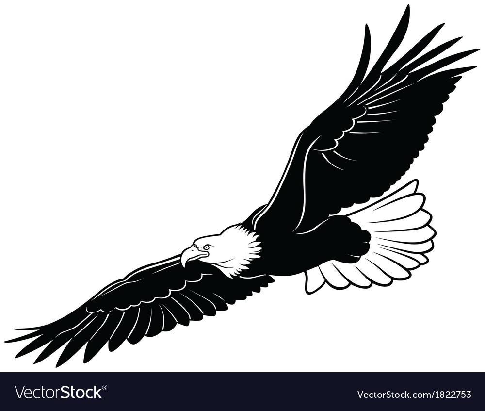 1000x847 Hd Bald Eagle Soaring Drawing Vector Images Vector Images Design