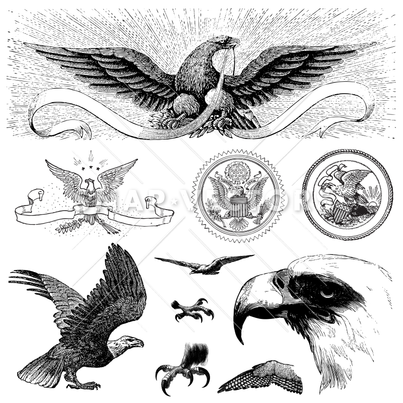 800x800 Vector Vintage Eagle Icons