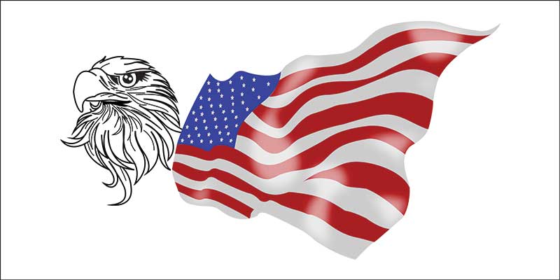 800x400 American Eagle Vector Design