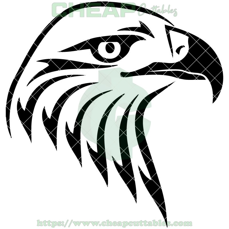 800x800 Eagle Vector Design