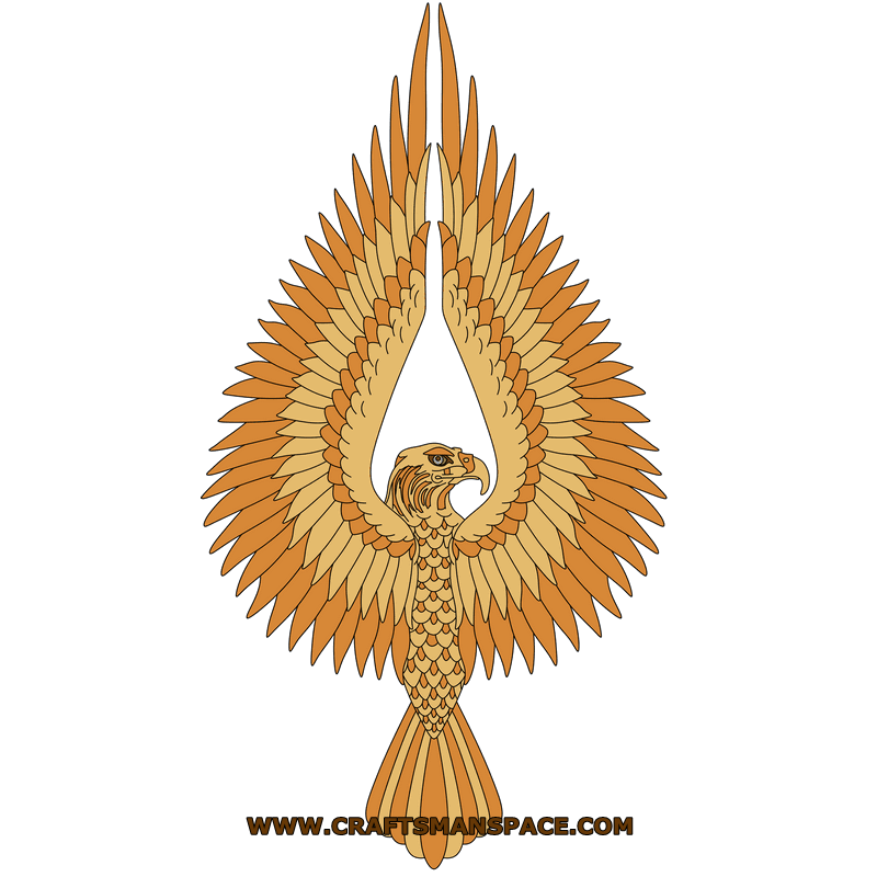 800x800 Eagle Vector Design