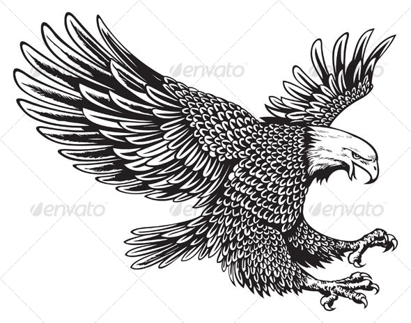 590x464 Bald Eagle Graphics, Designs Templates From Graphicriver