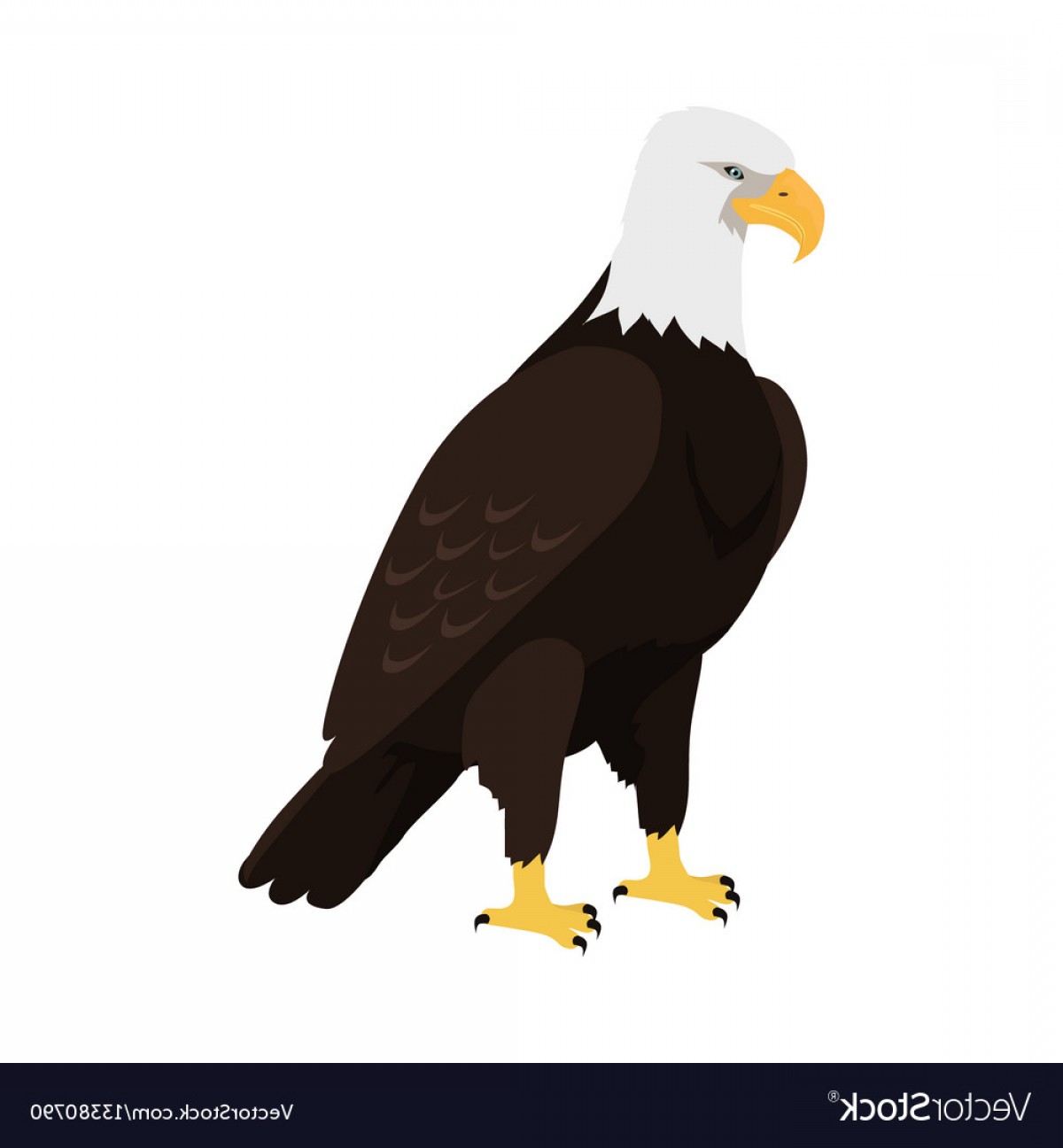 1200x1296 Bald Eagle Vector Newwaysys